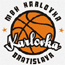 https://img.skzdh2016.com/img/basketball/team/0c2f73d2ab7041cf90029a20deff7f17.gif