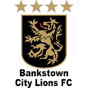 https://img.skzdh2016.com/img/football/team/3611895b1d993768346b422472166483.png