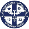 https://img.skzdh2016.com/img/football/team/a4087593839b70794341232e84cbc1b6.png